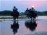 Horse riding in Kenya